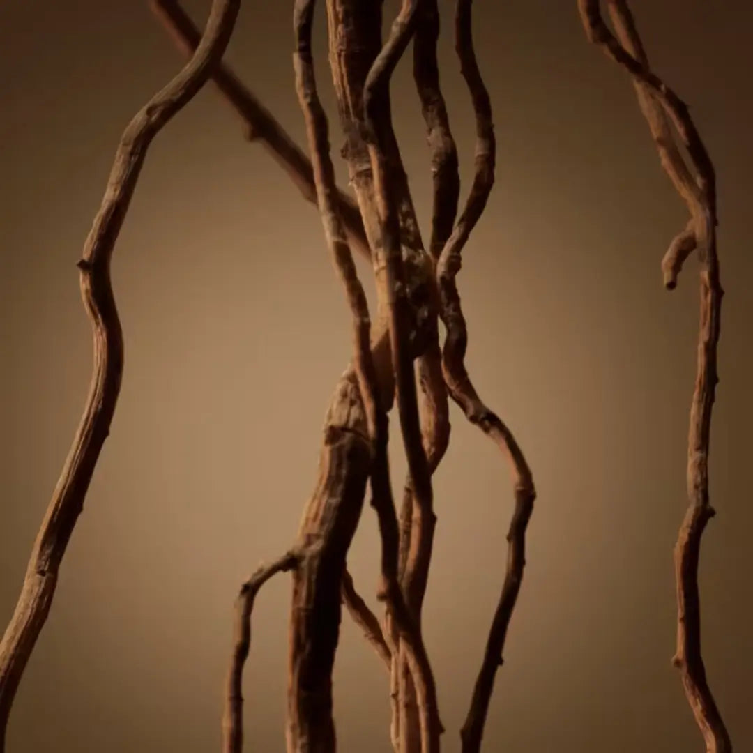 Boss Bottled Eau De Parfum Perfume Masculino