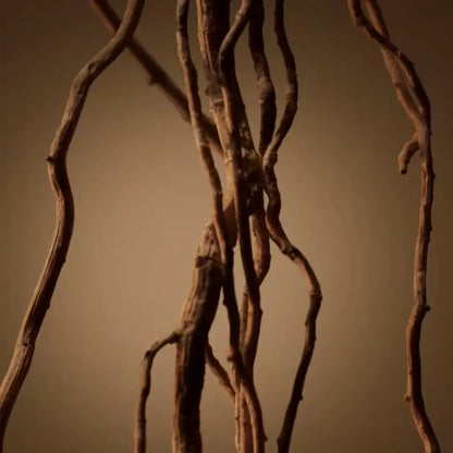 Boss Bottled Eau De Parfum Perfume Masculino