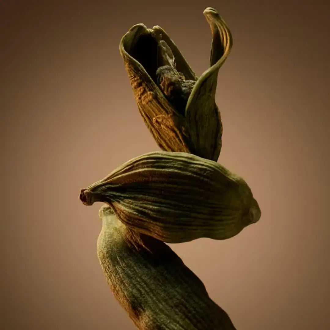 Boss Bottled Eau De Parfum Perfume Masculino