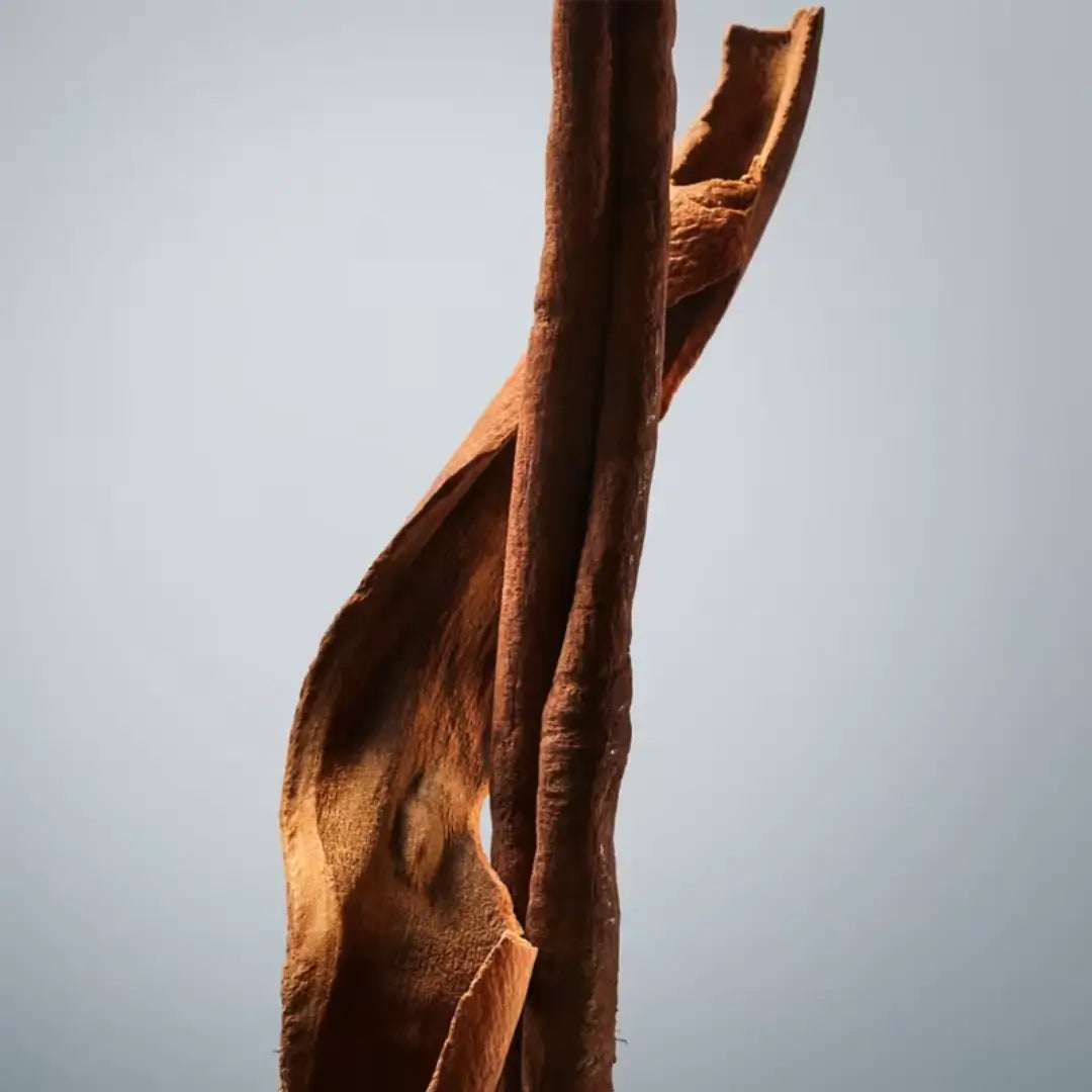 Boss Bottled Eau De Toilette Perfume Masculino