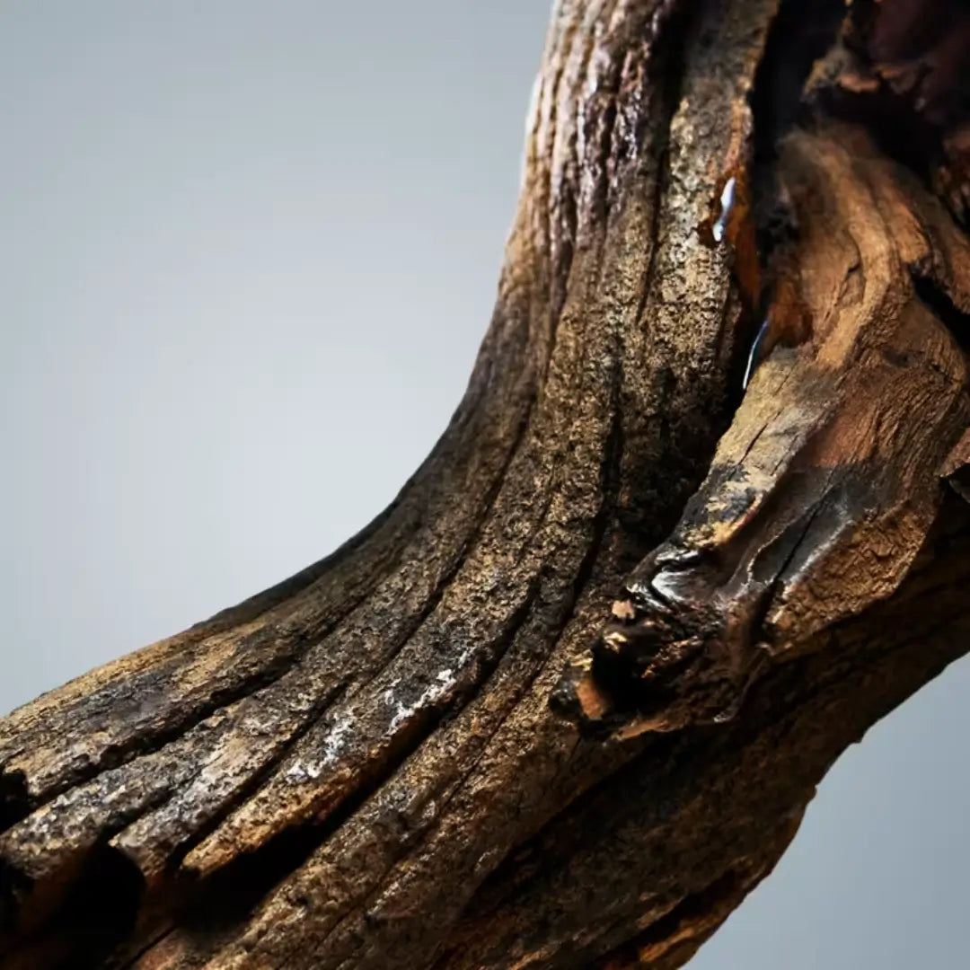 Boss Bottled Eau De Toilette Perfume Masculino