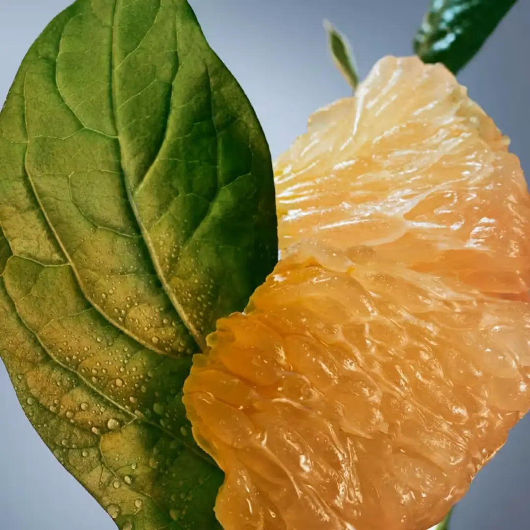 Boss Bottled Infinite Eau De Parfum Perfume Masculino