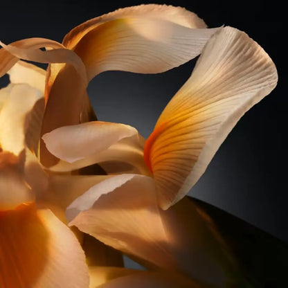 Boss Bottled Parfum Perfume Masculino