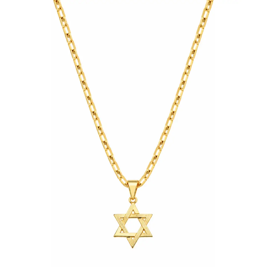 Foto de produto em fundo branco destacando o Colar Masculino Cartier Tijolinho Com Pingente Estrela de Davi Banhada a Ouro 18k por inteiro.