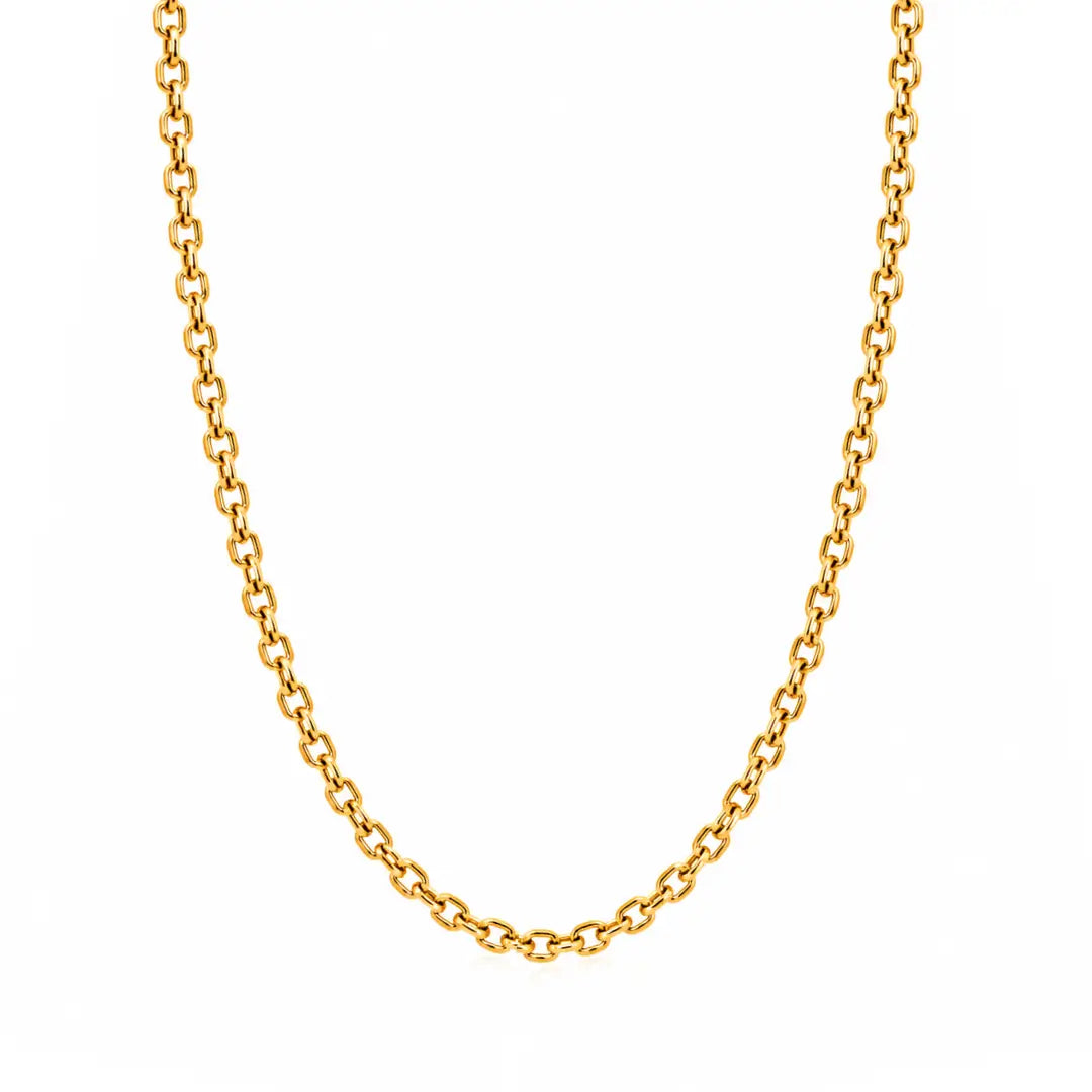 Corrente Masculina Cordão Cartier Cadeado 4,5mm Banhada a Ouro 18k